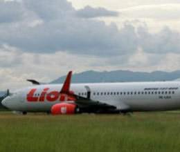 plane crashes into cow in indonesia  