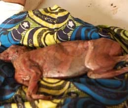 woman gives birth to a rare child