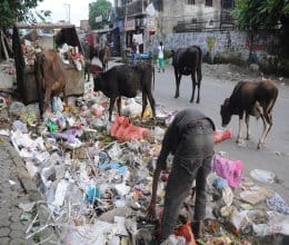 capital dun is fed up with the stench of garbage