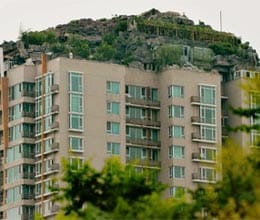 china rock villa may be demolished 