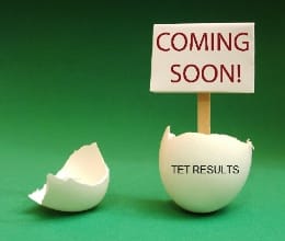 tet result to be declared online shortly