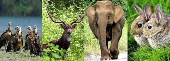 trip to katarniyaghat wildlife sanctuary