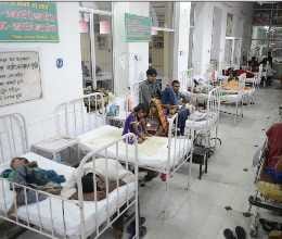 dengue patients in balrampur hospital