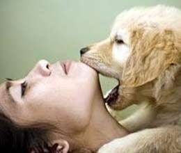 A Woman Died After Having Sex With Dog - Amar Ujala Hindi News ...