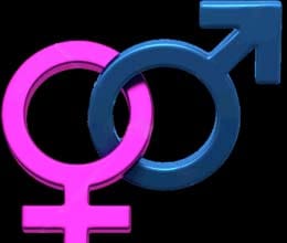 gender equity workshop