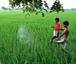 32 crore for mandi samiti