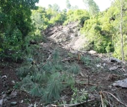 stones began to fall over srinagar