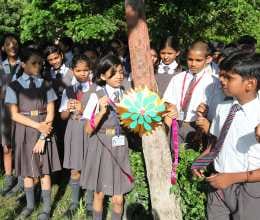 cms students celebrated rakshabandhan