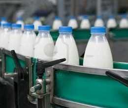 Dairy raided, milk and ghee caught