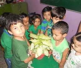 green day celebration in skd academy