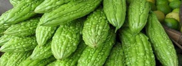 weight loss to kidney stone health benefits of bitter gourd