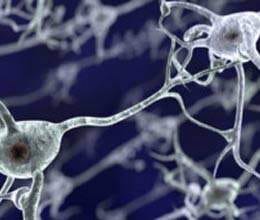 effect of cocaine on human brain 