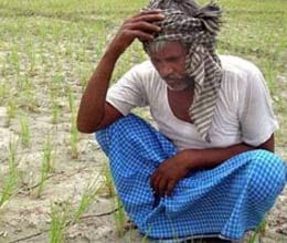 48-hour hunger strike if did not start buying rice