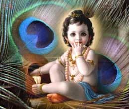 janmashtami mahotsava at mahanagar