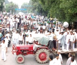 Fatehabad grain market Diwali Celebrate farmers