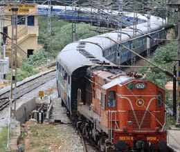 Tree fell onto the railway track