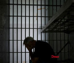 The two-year prison inspector