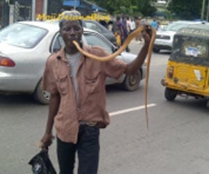 Man swallows live snake, vomits it alive unharmed