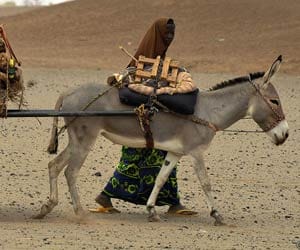 atleast 3 thousands ass on leave in kenya