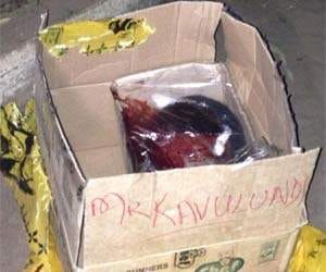 chopped human head delivered to police chief in nairobi 