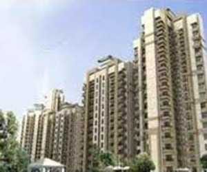 dda follows online auction system for many projects