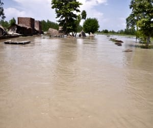 disaster relief distribution