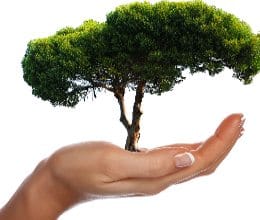 greenary and chak ganjariya project