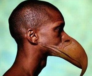 Man starts 'quacking' like a bird after stealing 8 chickens