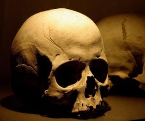 Woman kept skeleton parts in her flat