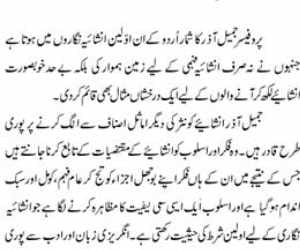 update form for urdu teacher recruitment