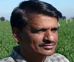 production of pulses Increase