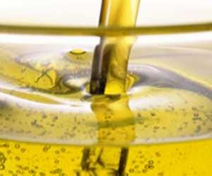 Fake ghee factory sealed