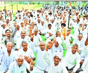 BKU will fight election 