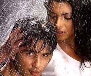 sahid kapoor, r rajkumar