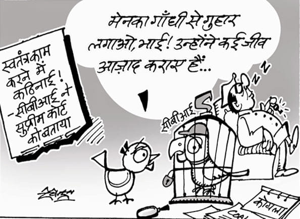 cbi