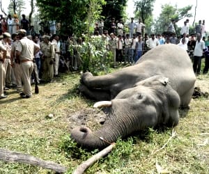 top stories of thursday