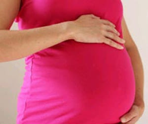 Animals With The Longest Pregnancies