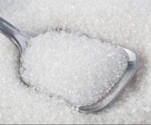 Sugar output revised lower at 23.8 mn tonnes