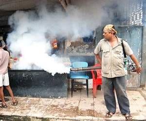 irregularities in fogging work