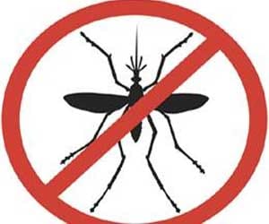 malaria's new study