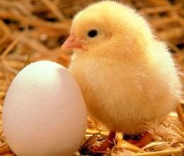 poultry expo in lucknow