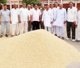 slow pick up in grain Market, no space left