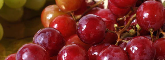 grapes seed can block cancer cells