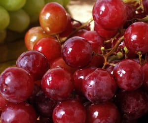 eating grapes may keep your eyes healthy