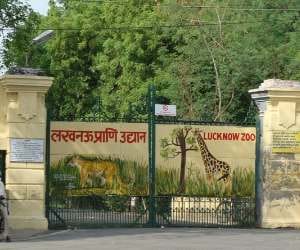 medical hospital in lucknow zoo