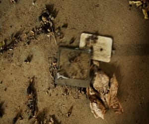 remains found in Corbett was 7th century