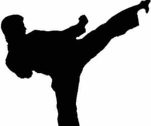 Gurgaon's player Harshit wins gold medal in karate championship
