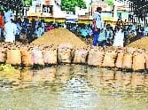 rain, 15, lakh, wheat, spoil