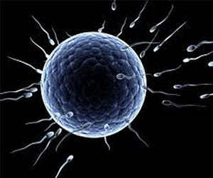 Sperm theft from moolchand hospital