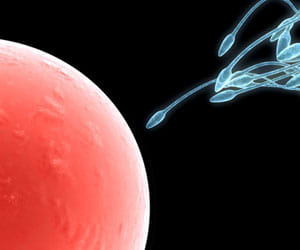 you know about third party reproduction